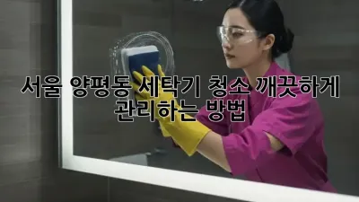 서울 양평동 세탁기 청소, 깨끗하게 관리하는 방법!