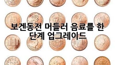 보겐동전 머들러: 음료를 한 단계 업그레이드!