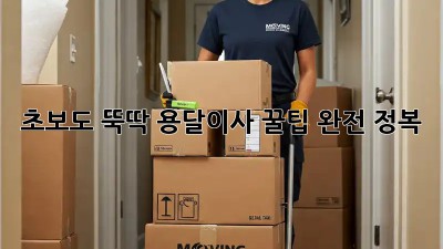 초보도 뚝딱! 용달이사 꿀팁 완전 정복